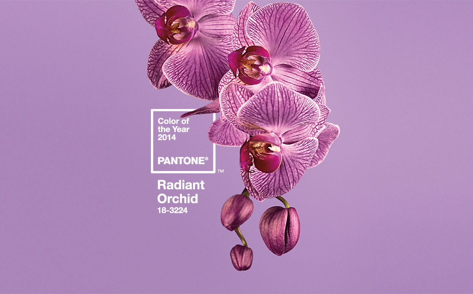 Pantone, Radiant Orchid, 2014 Color of the Year, Ebony Peoples Events & Design, Dallas Wedding Planner